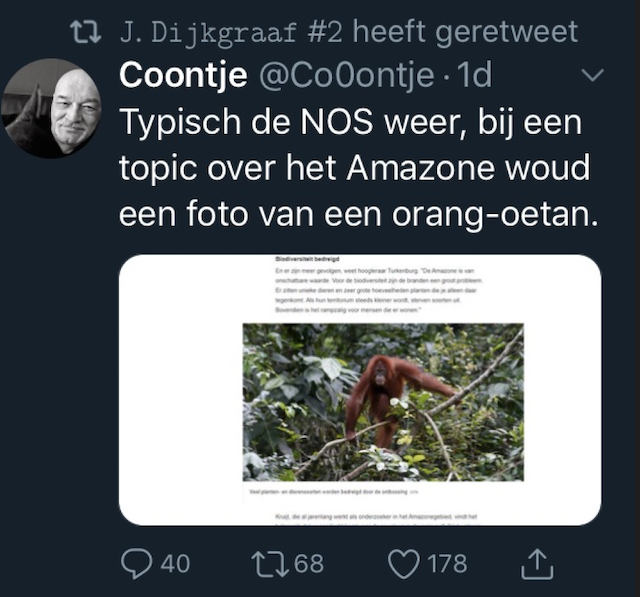 Stagiair en amazone orang oetan